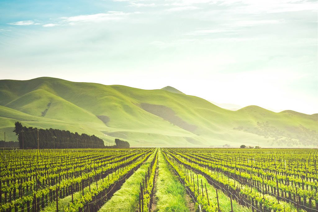 Best French Wine Regions and Wine Tours in France World In Paris