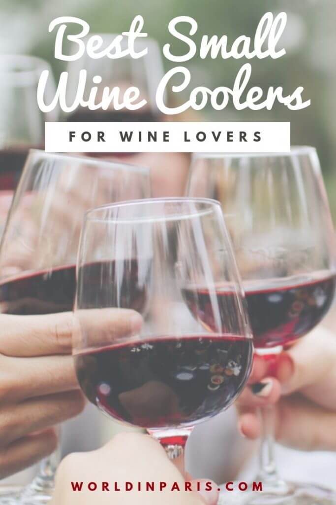 Best Small Wine Cooler Brands and Models (Wine Coolers Review) World
