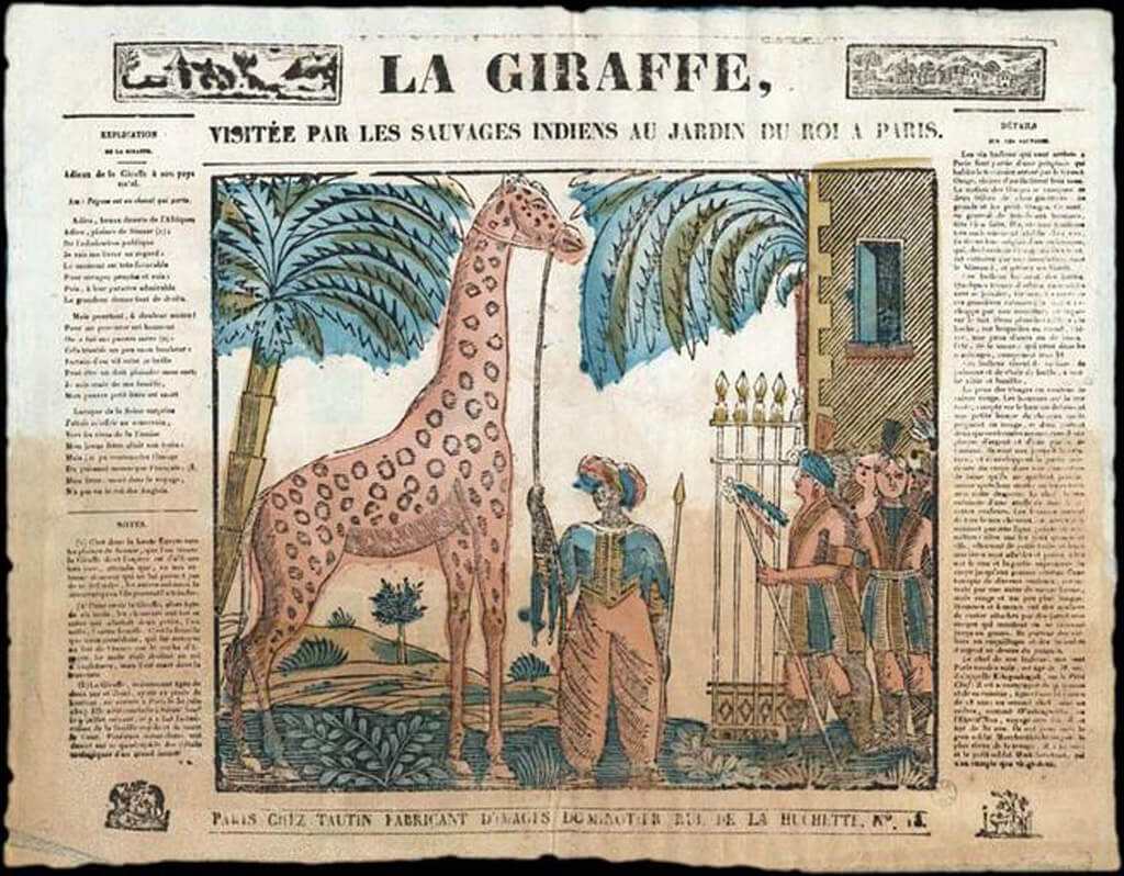Zarafa the Giraffe