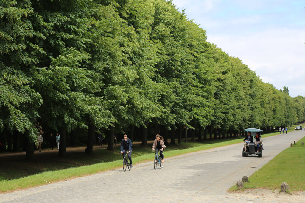 Biking in Versailles
