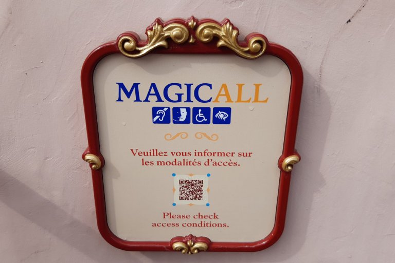 Priority Card Disneyland Paris Disability Pass & Service World In Paris