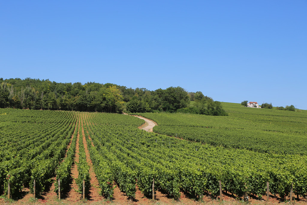 wine country day trips from paris
