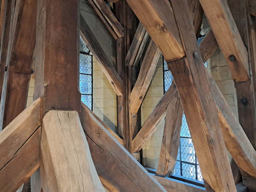Notre Dame's Forest - Reconstruction